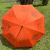 Parapluie - Image 2