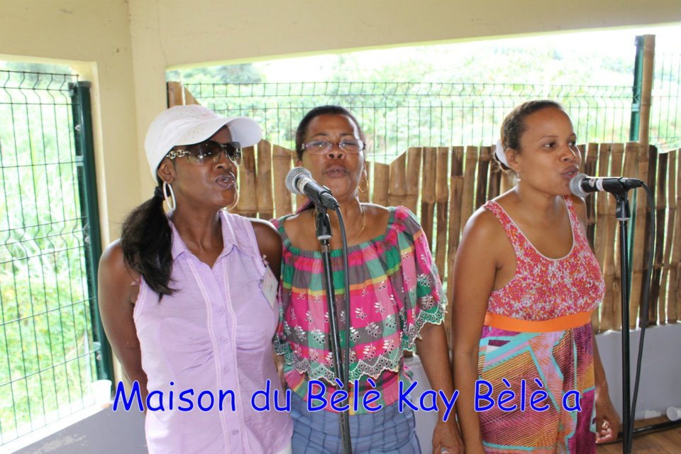 040_croisieristes_francais_a_la_maison_du_bele_03-03-2012