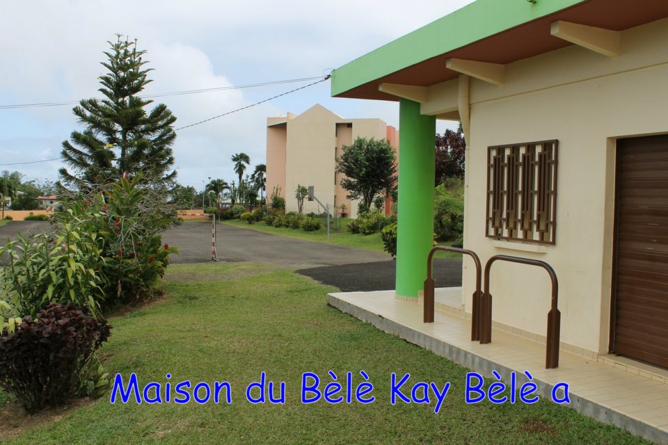 105_croisieristes_francais_a_la_maison_du_bele_03-03-2012