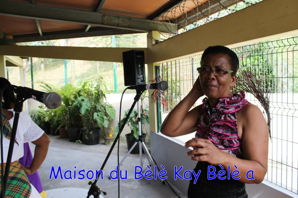 170_croisieristes_francais_a_la_maison_du_bele_17-03-2012