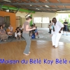 173_croisieristes_francais_a_la_maison_du_bele_17-03-2012