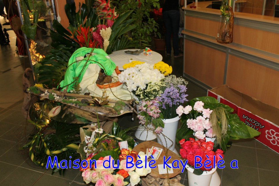 11_quand_l_art_se_fait_-femme_initiation_bele_a_-la_region_10-03-2012