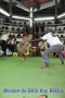 02_sware_bele_du_samedi_gloria_07-04-2012_pitt_caserus