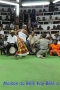 52_sware_bele_du_samedi_gloria_07-04-2012_pitt_caserus